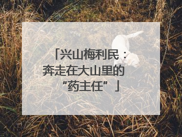 兴山梅利民：奔走在大山里的“药主任”