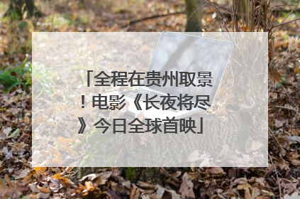全程在贵州取景！电影《长夜将尽》今日全球首映
