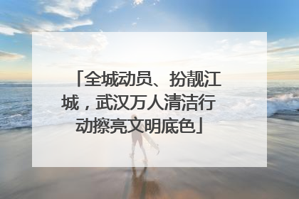 全城动员、扮靓江城，武汉万人清洁行动擦亮文明底色