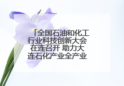 全国石油和化工行业科技创新大会在连召开 助力大连石化产业全产业链高质量发展