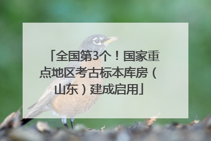全国第3个！国家重点地区考古标本库房（山东）建成启用