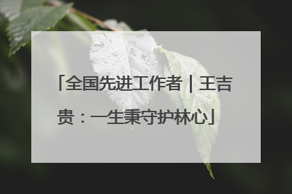 全国先进工作者｜王吉贵：一生秉守护林心