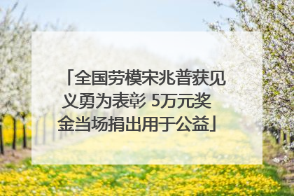 全国劳模宋兆普获见义勇为表彰 5万元奖金当场捐出用于公益