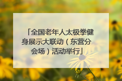 全国老年人太极拳健身展示大联动（东营分会场）活动举行
