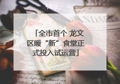 全市首个 龙文区暖“新”食堂正式投入试运营