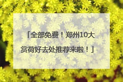 全部免费！郑州10大赏荷好去处推荐来啦！