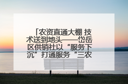 农资直通大棚 技术送到地头——岱岳区供销社以“服务下沉”打通服务“三农”最后一公里