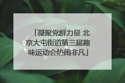 凝聚党群力量 北京大屯街道第三届趣味运动会热闹非凡