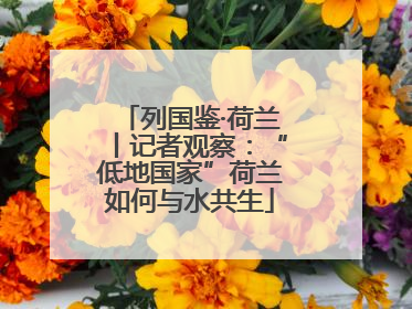 列国鉴·荷兰丨记者观察：“低地国家”荷兰如何与水共生