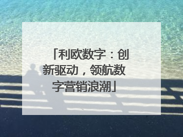 利欧数字：创新驱动，领航数字营销浪潮