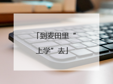 到麦田里“上学”去