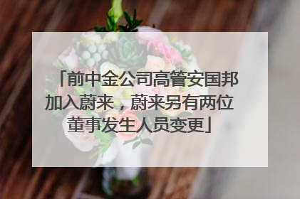 前中金公司高管安国邦加入蔚来，蔚来另有两位董事发生人员变更