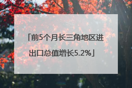 前5个月长三角地区进出口总值增长5.2%