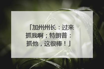 加州州长：过来抓我啊；特朗普：抓他，这很棒！