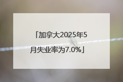 加拿大2025年5月失业率为7.0%