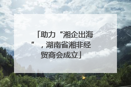助力“湘企出海”，湖南省湘非经贸商会成立