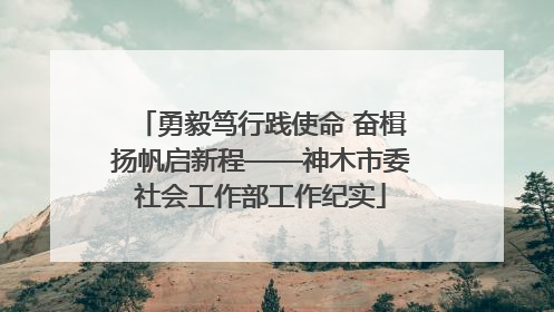 勇毅笃行践使命 奋楫扬帆启新程——神木市委社会工作部工作纪实