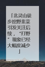 北灵山徒步挖野韭菜引发关注后续，“打野”现象已经大幅度减少