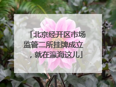 北京经开区市场监管二所挂牌成立，就在瀛海这儿