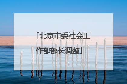 北京市委社会工作部部长调整