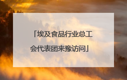 埃及食品行业总工会代表团来豫访问