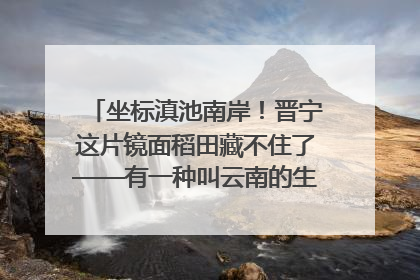 坐标滇池南岸！晋宁这片镜面稻田藏不住了——有一种叫云南的生活之365天
