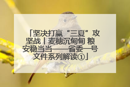 坚决打赢“三夏”攻坚战丨麦穗沉甸甸 粮安稳当当——省委一号文件系列解读①