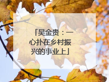 吴金贵：一心扑在乡村振兴的事业上