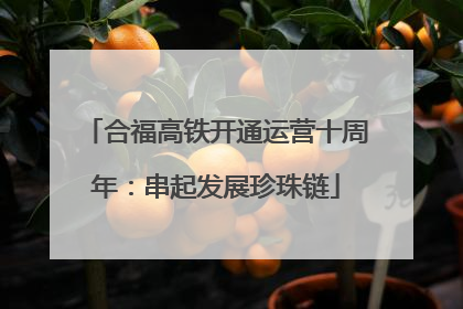 合福高铁开通运营十周年：串起发展珍珠链