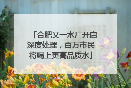 合肥又一水厂开启深度处理，百万市民将喝上更高品质水