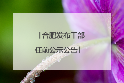 合肥发布干部任前公示公告