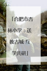 合肥市杏林小学：送教古城 互学共研