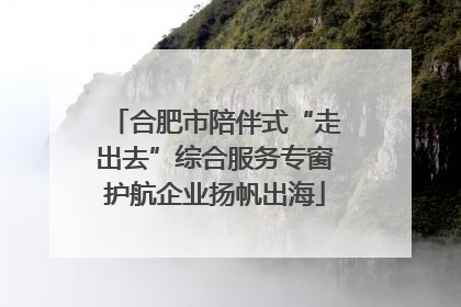 合肥市陪伴式“走出去”综合服务专窗护航企业扬帆出海