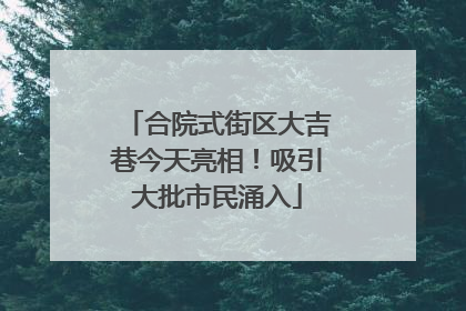 合院式街区大吉巷今天亮相！吸引大批市民涌入