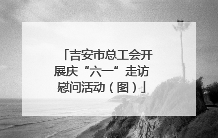 吉安市总工会开展庆“六一”走访慰问活动（图）