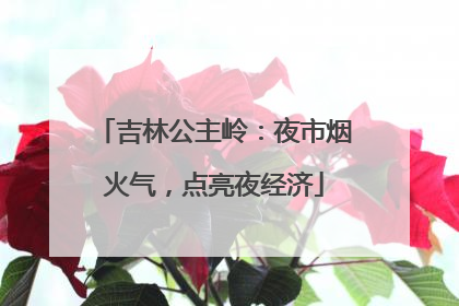 吉林公主岭：夜市烟火气，点亮夜经济