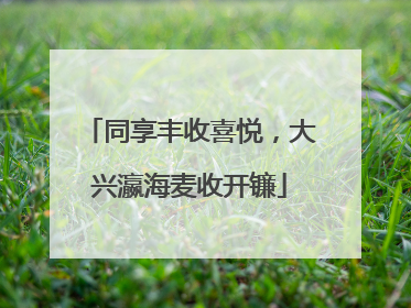 同享丰收喜悦，大兴瀛海麦收开镰