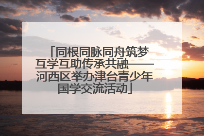 同根同脉同舟筑梦 互学互助传承共融——河西区举办津台青少年国学交流活动