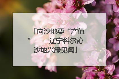 向沙地要“产值”——辽宁科尔沁沙地兴绿见闻