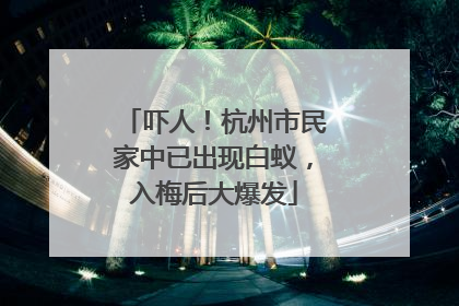 吓人！杭州市民家中已出现白蚁，入梅后大爆发