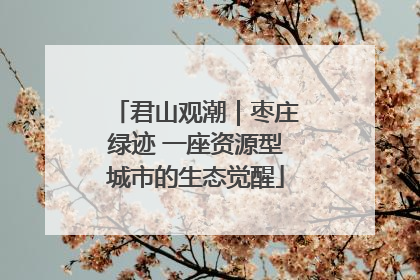 君山观潮｜枣庄绿迹 一座资源型城市的生态觉醒