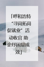 呼和浩特“寻岗拓岗促就业”活动收官 助企纾困显成效