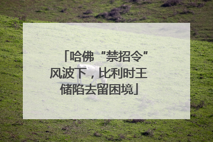 哈佛“禁招令”风波下，比利时王储陷去留困境