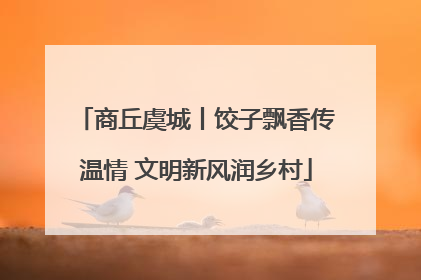 商丘虞城丨饺子飘香传温情 文明新风润乡村