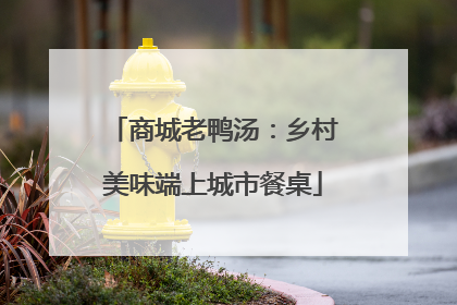 商城老鸭汤：乡村美味端上城市餐桌