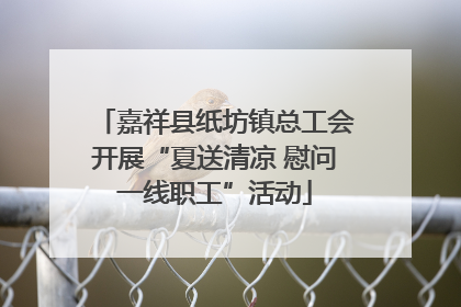 嘉祥县纸坊镇总工会开展“夏送清凉 慰问一线职工”活动