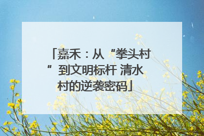 嘉禾：从“拳头村”到文明标杆 清水村的逆袭密码