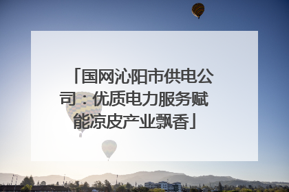 国网沁阳市供电公司：优质电力服务赋能凉皮产业飘香