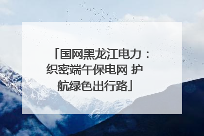 国网黑龙江电力：织密端午保电网 护航绿色出行路