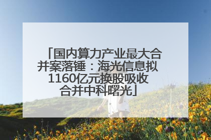 国内算力产业最大合并案落锤：海光信息拟1160亿元换股吸收合并中科曙光